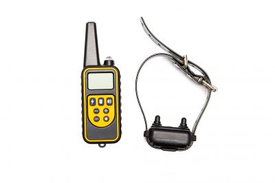 Electric Dog Fence Installation